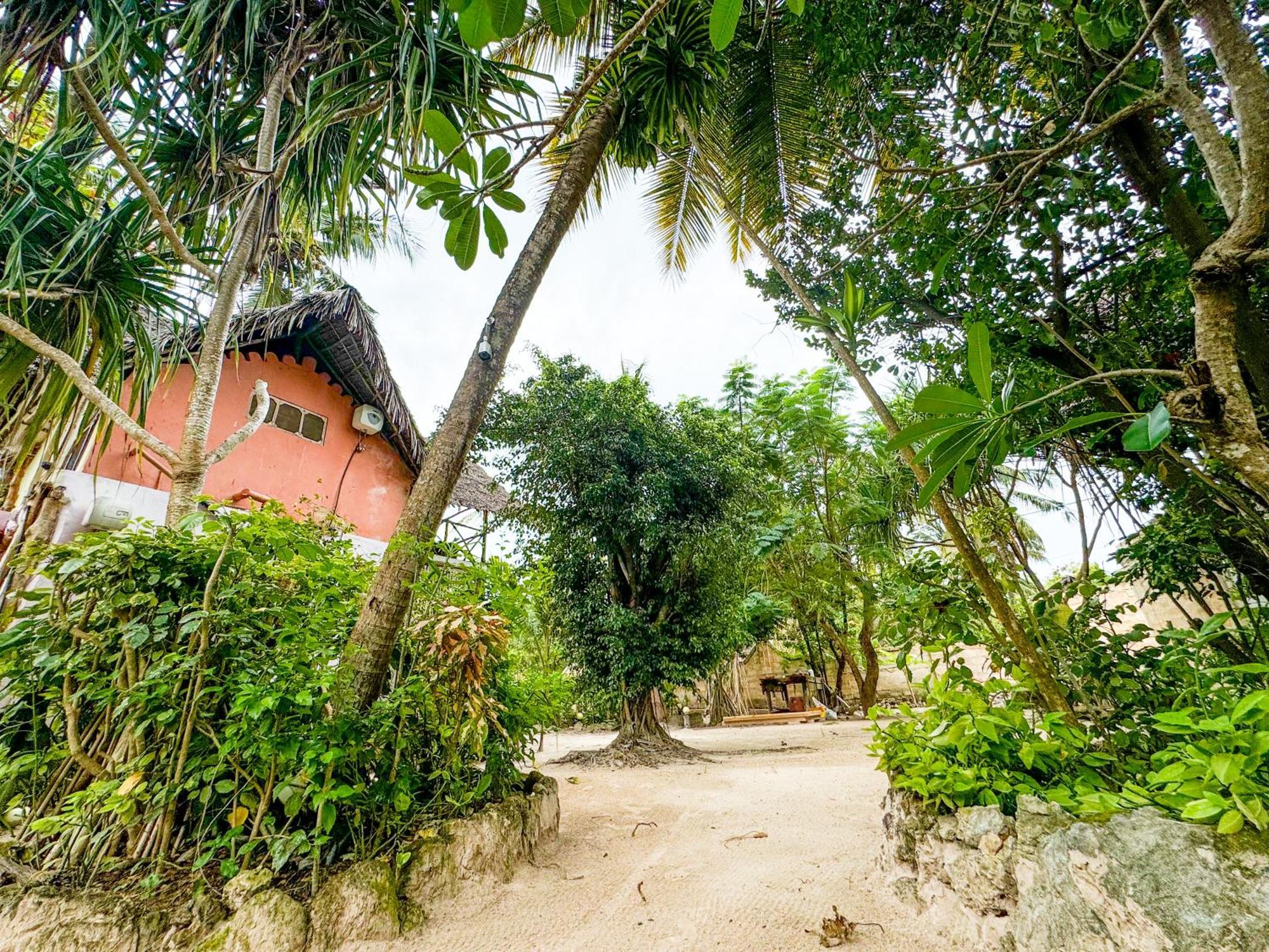Sagando Bungalows Zanzibar Michamvi エクステリア 写真